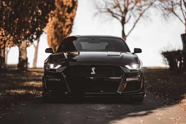 Ripper Cazino Cazinou Aplicație Android/iOS